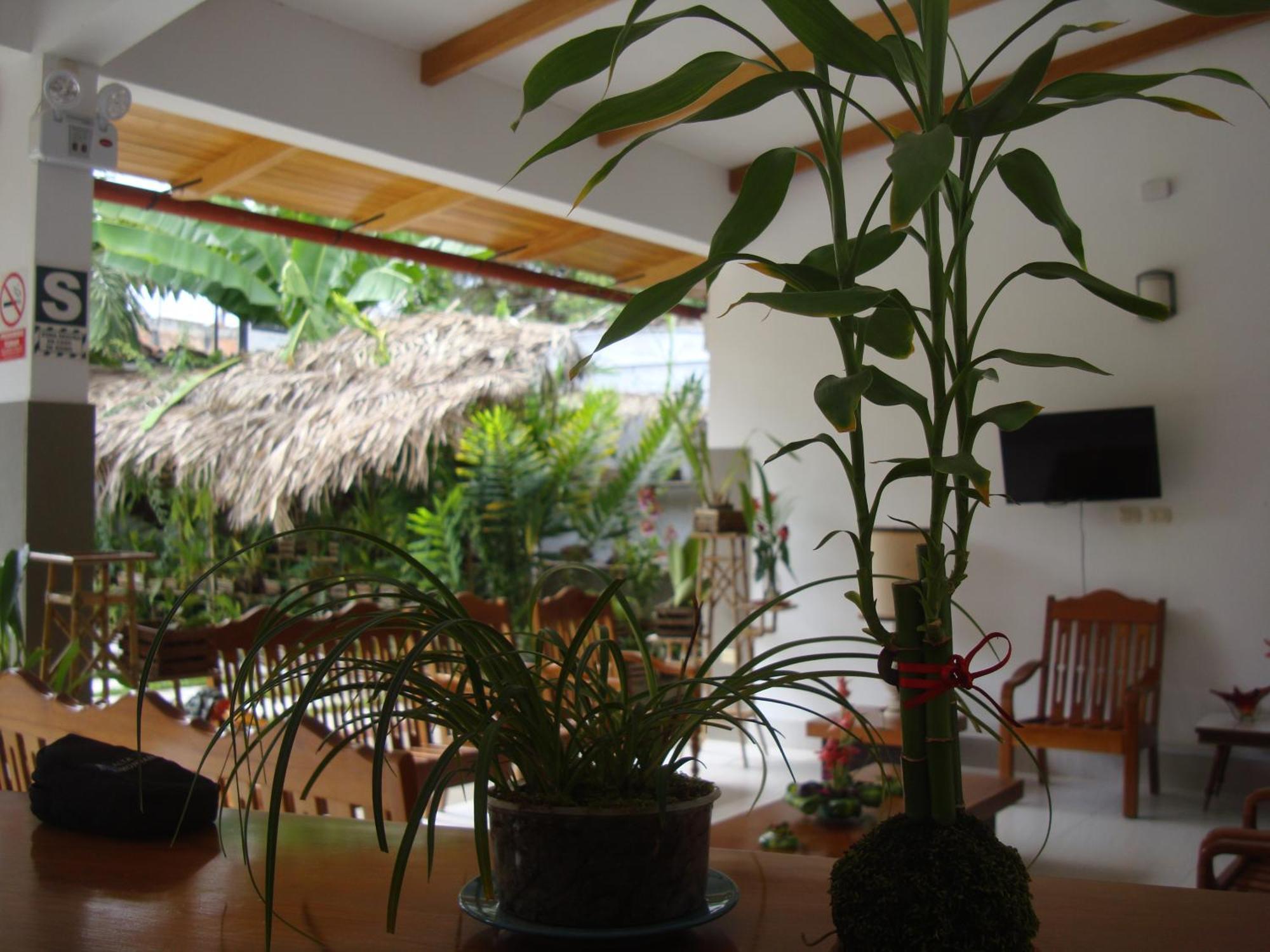 Altavista Casahotel - Asociado Casa Andina โมโยบัมบา ภายนอก รูปภาพ