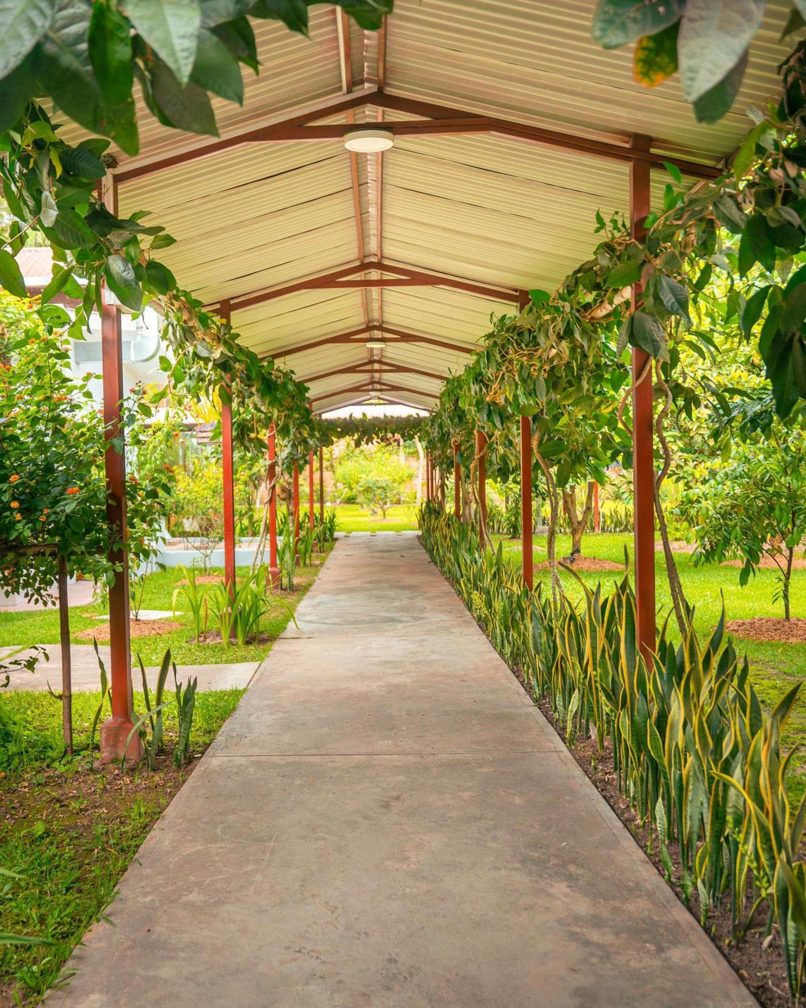 Altavista Casahotel - Asociado Casa Andina โมโยบัมบา ภายนอก รูปภาพ
